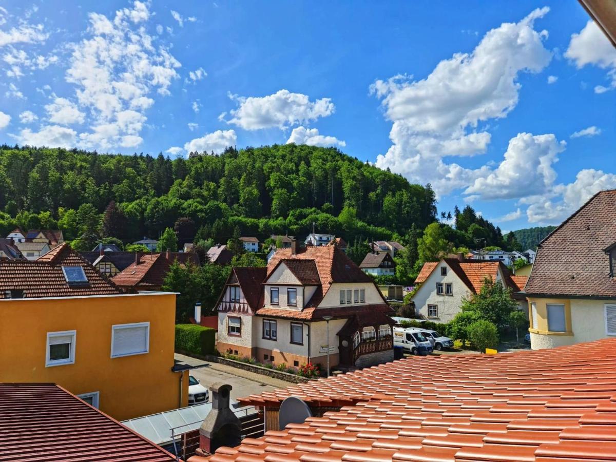 Pension Transilvania Immendingen Ngoại thất bức ảnh